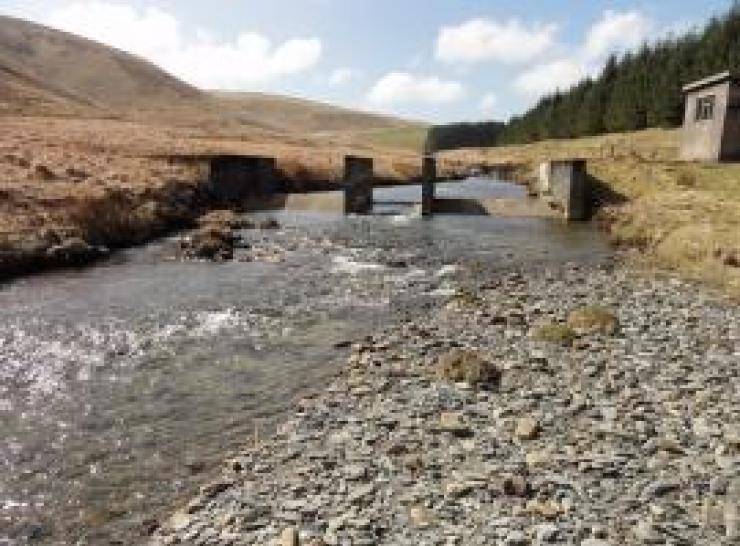 Gauging Station